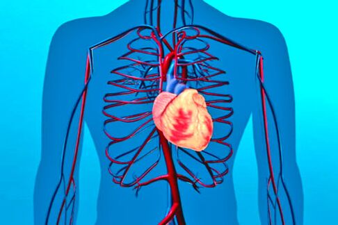 Weakened circulatory system is a risk factor for high blood pressure